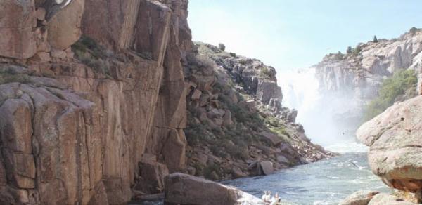 Skogen, Cometto & Associates