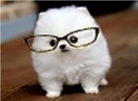 Michael Hanscom Tax & Financial Services