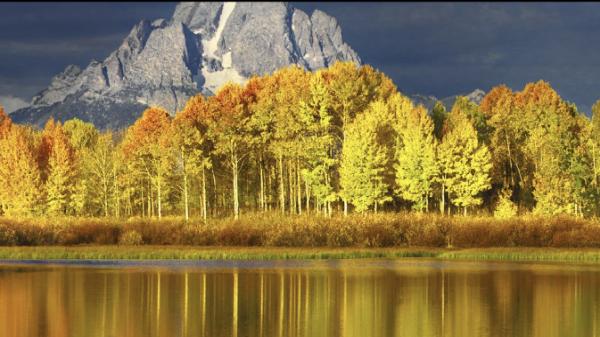 Pando Partners Wealth Management