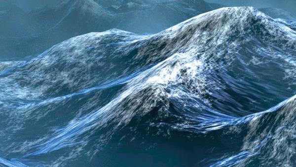 Safe Harbor Wills and Trusts