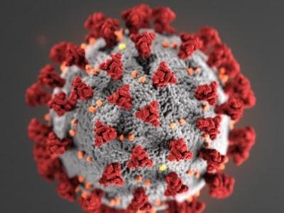 Pasternak & Zirgibel S.C.