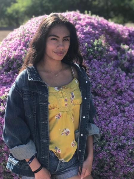 Studebaker Paralegal Services