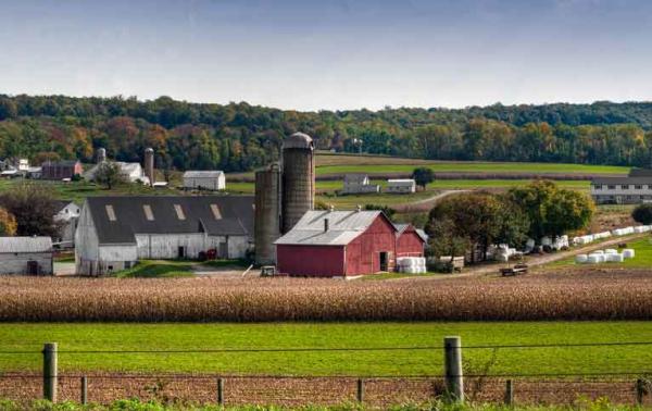 Gotcha! Investigative Service