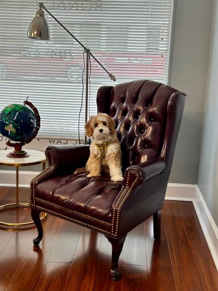 The Law Offices of Ronald J. Shook