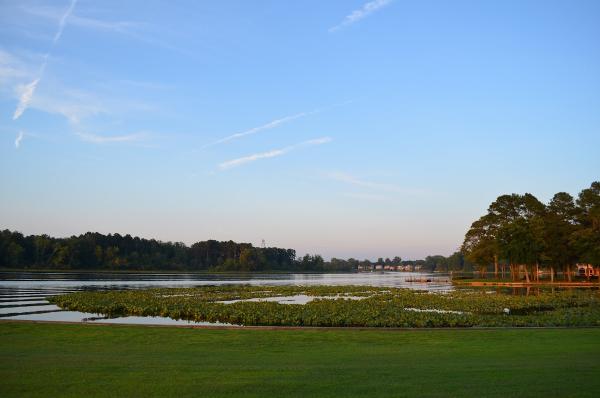 Webb, Cornbrooks, Wilber, Douse, Mathers & Illuminati