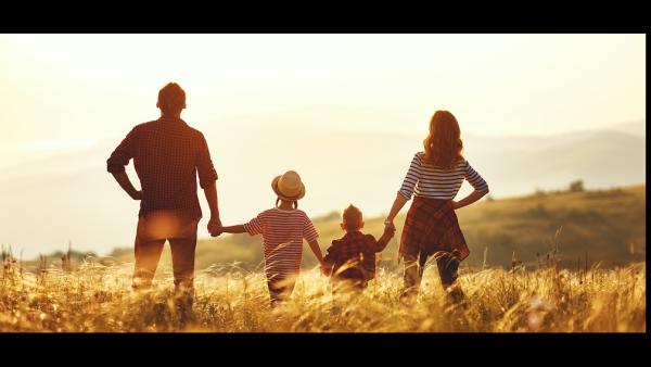 Waymark Wealth Management