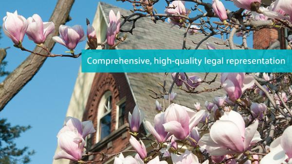 Alane Family Law