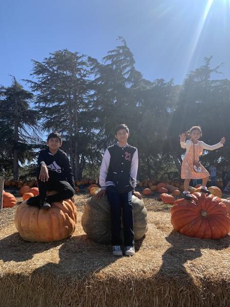 Law Office of Rodolfo Marquez