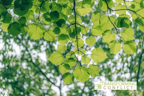 Transforming Conflict