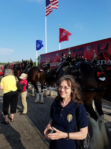 Ruppert Detective Agency