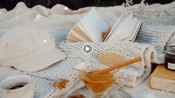 Marisol Immigration Services