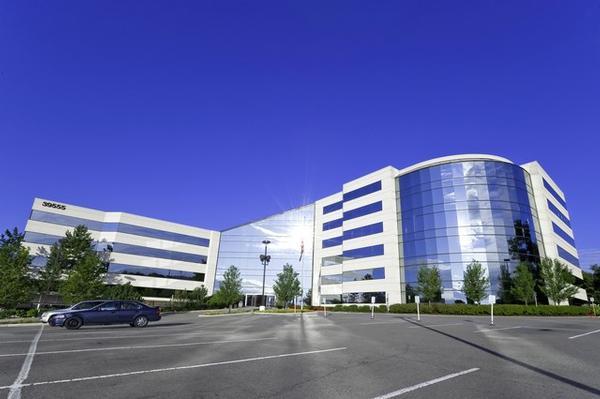 Custom Divorce Solutions