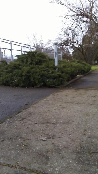 Acbs System of Southern Or