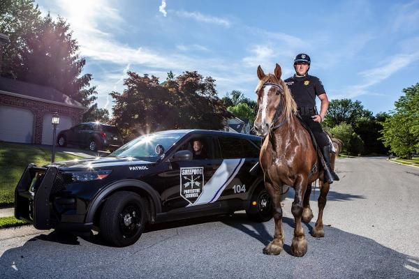 Sheepdog Protective Services