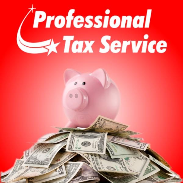 Professional Tax Service