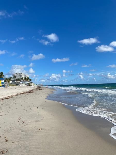South Florida Pro Realty