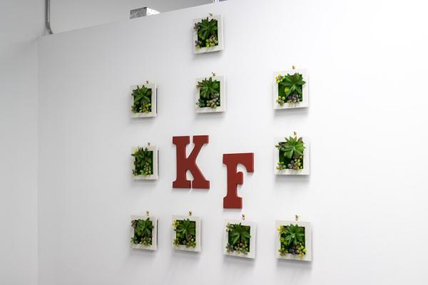 Kwikefile Professional