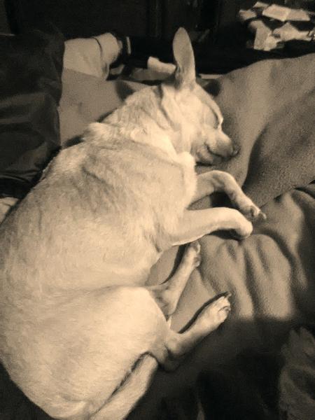 Bart Bernard Injury Lawyers