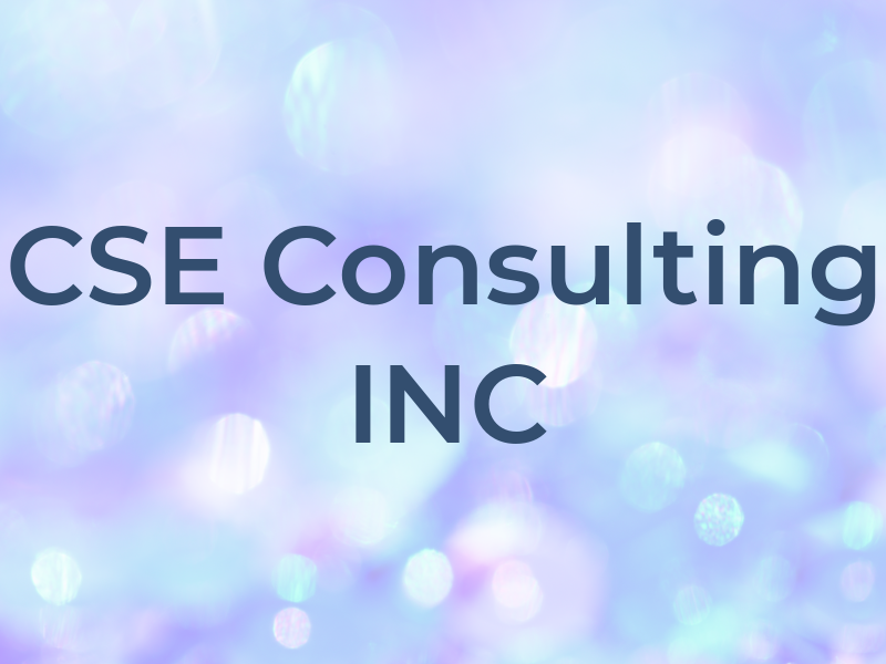CSE Consulting INC