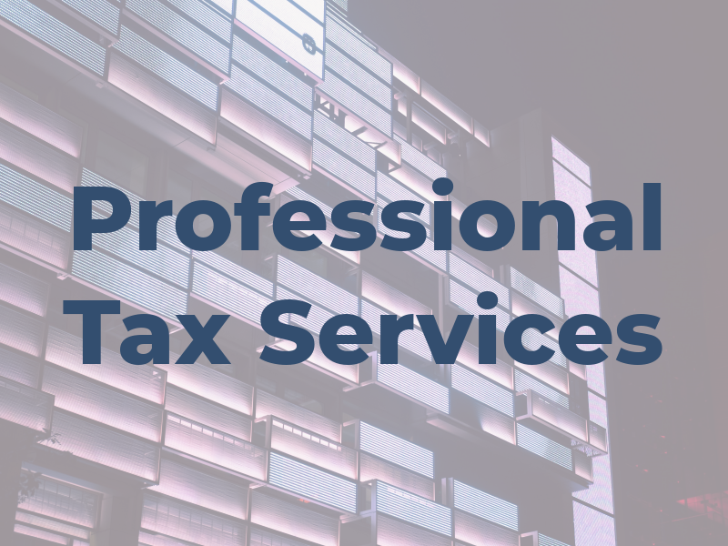 Professional Tax Services