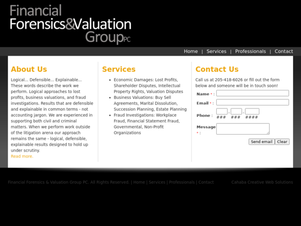 Financial Forensics & Valuation Group