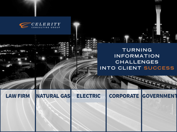 Celerity Consulting Group
