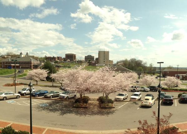 One Source Accounting & Tax