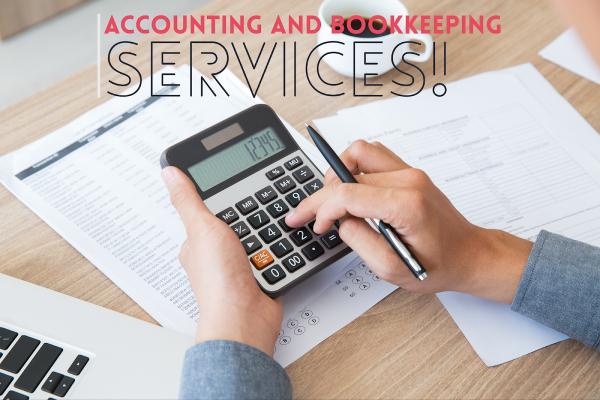 Professional Accounting & Business Consulting