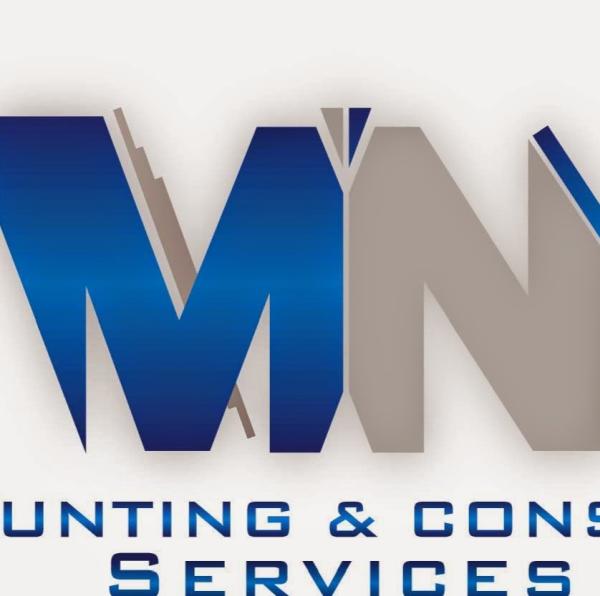 MN Accounting & Consulting Services