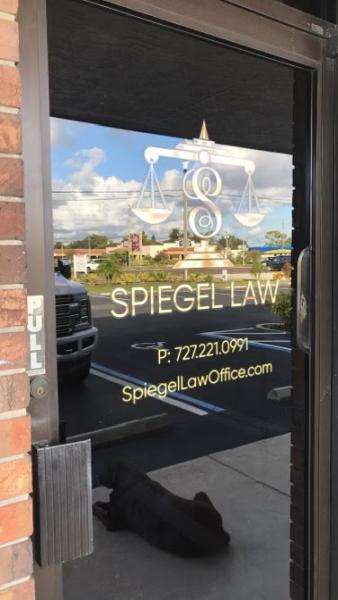 Spiegel Law