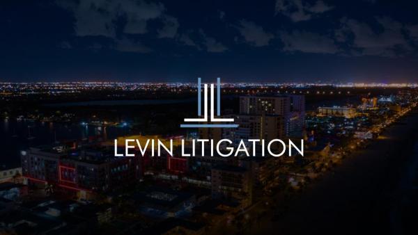 Levin Litigation