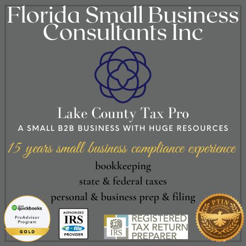 Florida Small Business Consultants