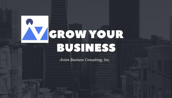 Avion Business Consulting Group