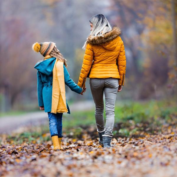 Evolution Divorce & Family Law