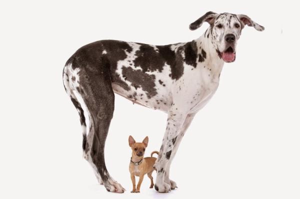 Your Business Consultant