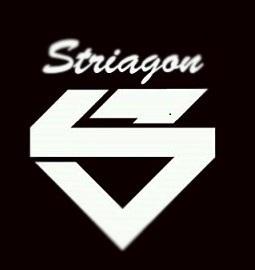 Striagon Corp, Certified Acceptance Agent
