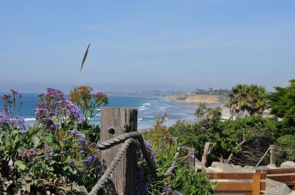 Law Offices of William C. Bibb