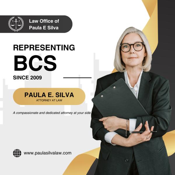 Law Office of Paula E. Silva