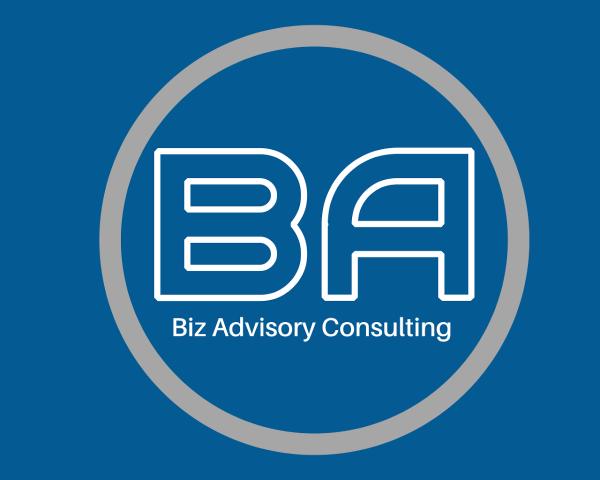 Biz Advisory Consulting