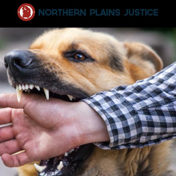 Northern Plains Justice