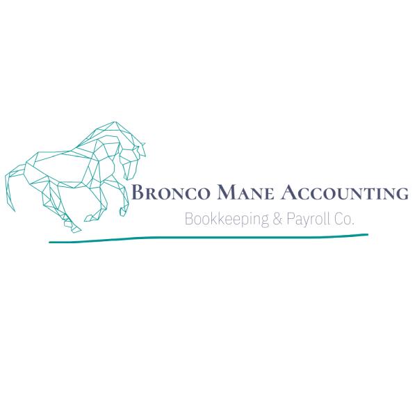 Bronco Mane Accounting