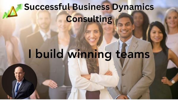 Successful Business Dynamics Consulting