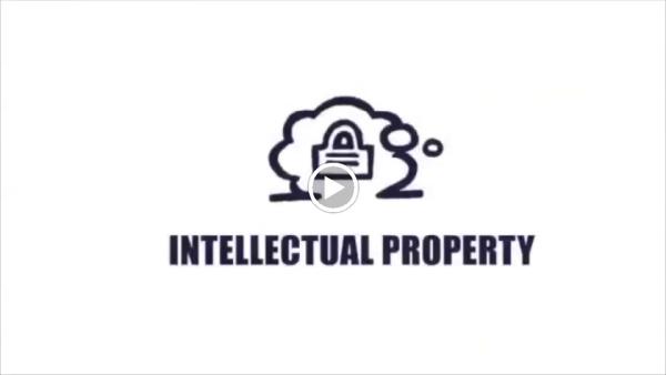 Innovative Law Group