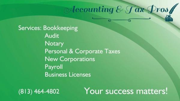 Accounting & TAX Pros