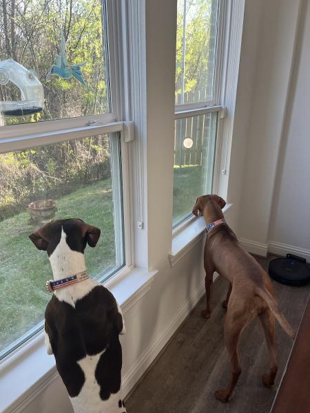 Know Your Numbers Accounting