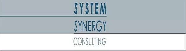 System Synergy Consulting