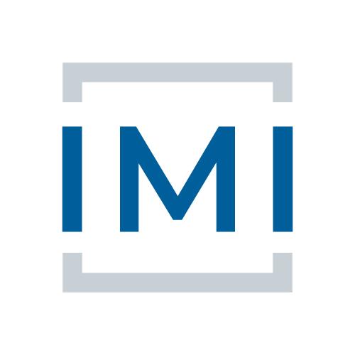 IMI Tax Advisors