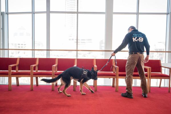 Stealth Vigilance K-9