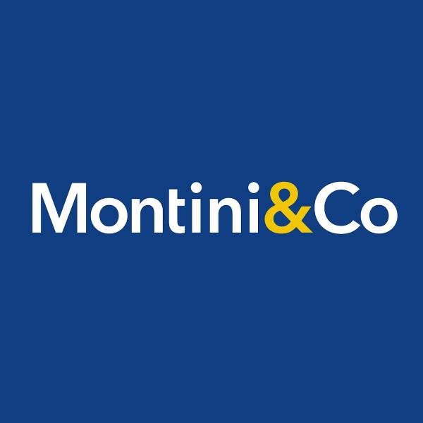 Montini & Co Tax Advisory Group