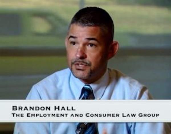 Employment and Commerce Law Group